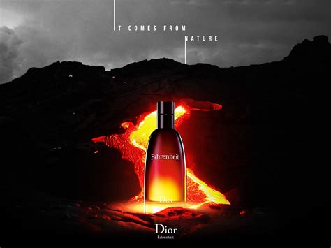 dior fahrenheit edp yorum|dior fahrenheit fragrantica.